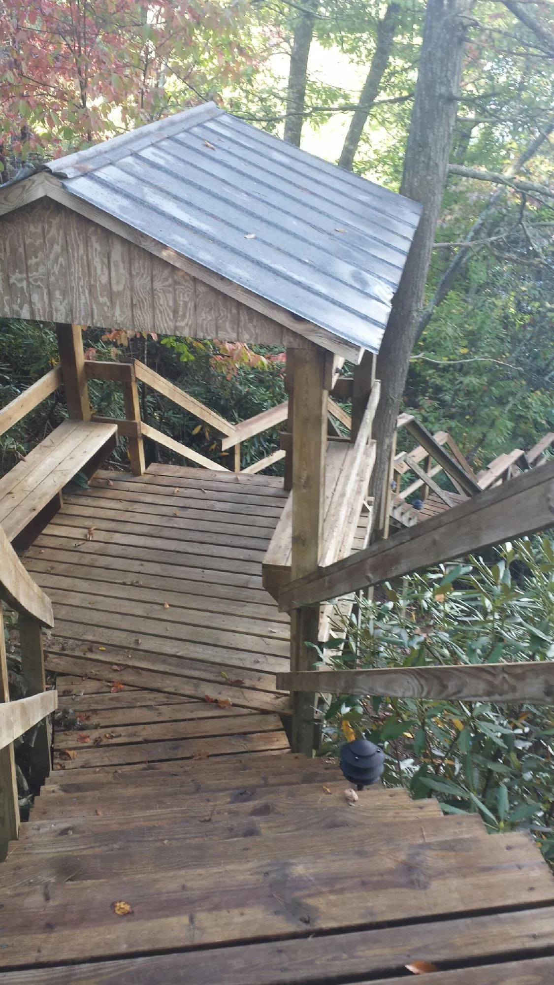Metal roofed shelter over wooden steps on a wooded walkway — Skylight Repair & Installation work by our crew in Bogota